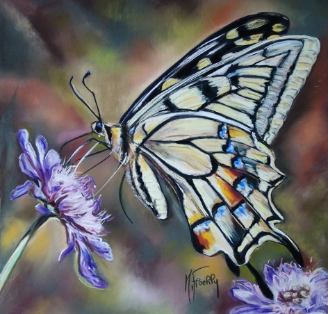 Papillon machaon pastel 40×40 site